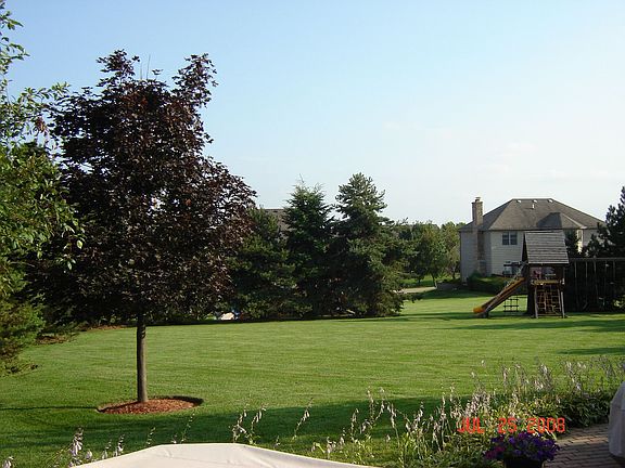 Perfect patio for a bbq