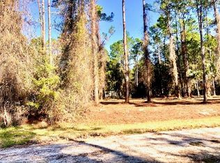 222 Palm Way #29, Georgetown, FL 32139
