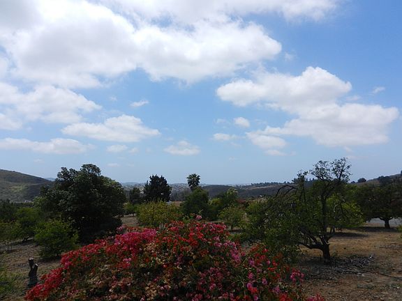ocean view from bedroom