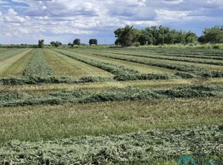 3645 Billy The Kid Rd, Fort Sumner, NM 88119
