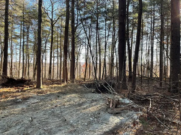 LOT 38 38a&29 Michael Shrs, Belchertown, MA 01007