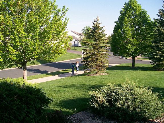 School Bus stop right out front