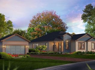 13903 Lake Fishhawk Dr, Lithia, FL 33547