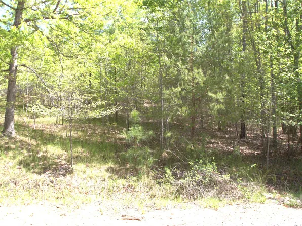 00 Dirksen Ave #68, Nebo, NC 28761