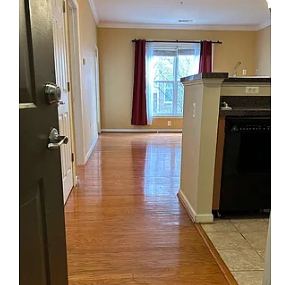 1 bed, 742 sqft, $1,995 — Photo 4