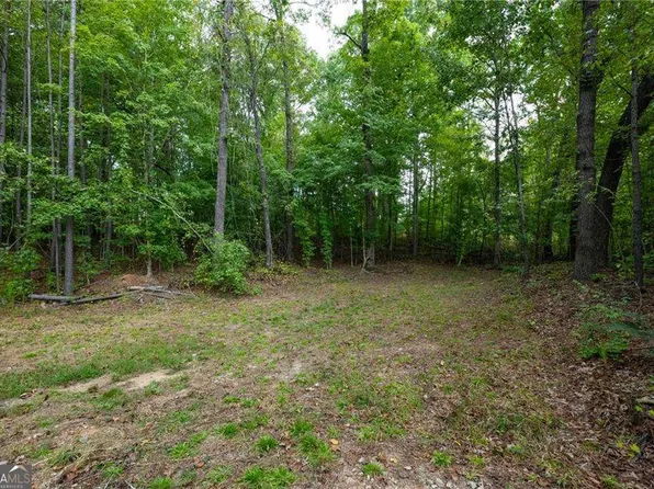 0B Highway 5, Whitesburg, GA 30185