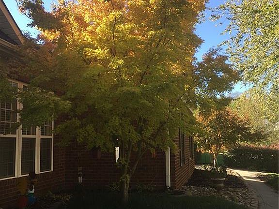 4th image of 10915 McCamie Hill Pl