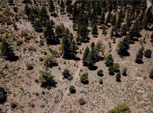 0 Hwy 38, Big Bear, CA 92314