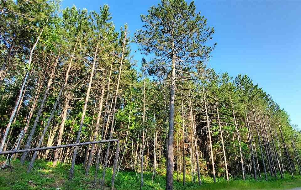 Murphy Lake Rd, Eveleth, MN 55734 MLS 146285 Zillow