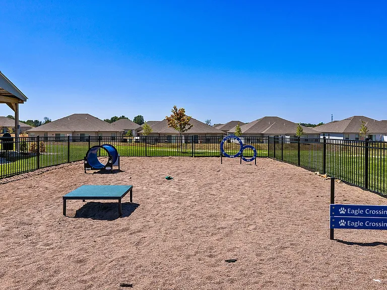 Obstacles in Dog Park