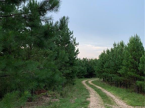 3rd image of 57 Morning Pines Trl Lot 57