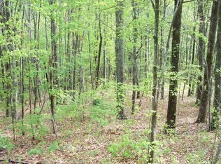 27 Coyote Cv, Hayesville, NC 28904