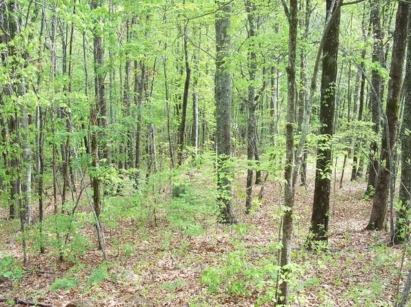 27 Coyote Cv, Hayesville, NC 28904