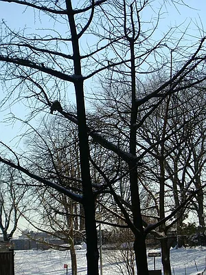 Rented by Sotheby's International Realty | media 8