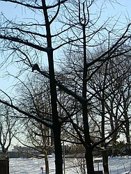 Rented by Sotheby's International Realty