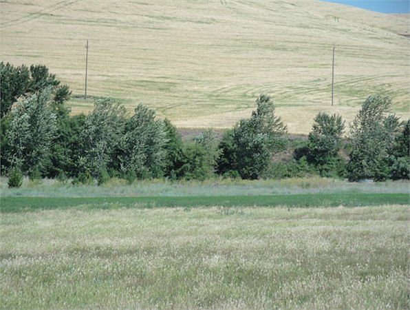 1st image of 36229 Highway 12