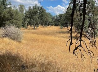 10217 Bull Creek Rd #2S05, Coulterville, CA 95311