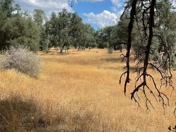 10217 Bull Creek Rd #2S05, Coulterville, CA 95311