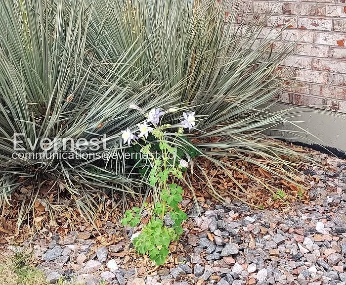 9225 Clermont Dr — Photo 30