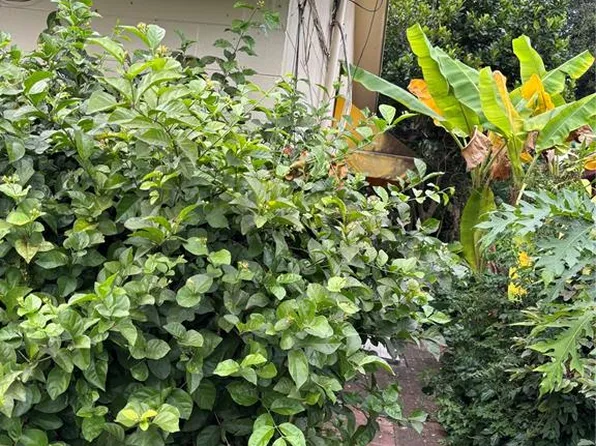 2721 Wakulla Way, Orlando, FL 32839