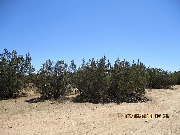 3rd image of Ortega St