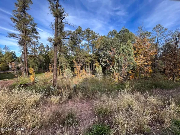 Tdb W White Mountain Blvd, Lakeside, AZ 85929