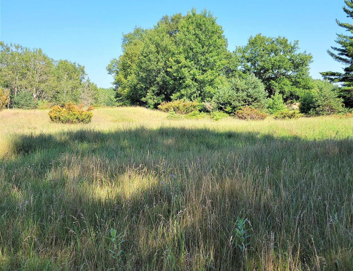 Herkelrath Rd LOT B, Onekama, MI 49675 MLS 23023247 Zillow