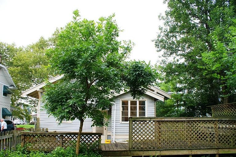 2nd image of 235 Forrer Blvd