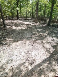 673 County Road 19, Mountain Home, AR, 72653