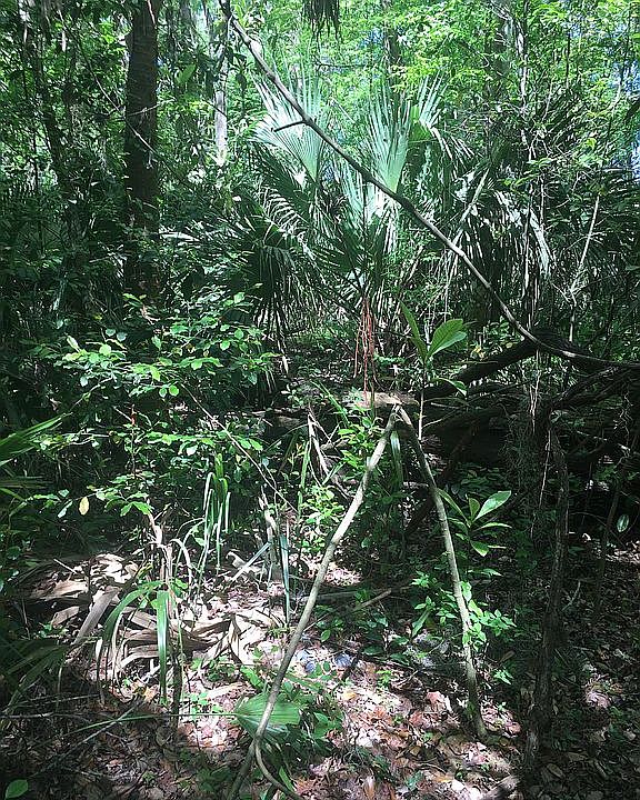 1st image of Country Rd #426