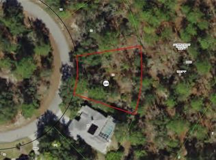 28 Boston Ivy Ct, Homosassa, FL 34446