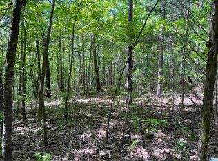 0 Pine Dr #7, Ohatchee, AL 36271