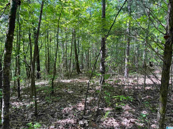 0 Pine Dr #7, Ohatchee, AL 36271