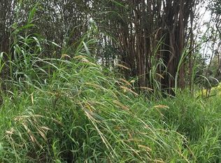 Road 3 LOT 163, Volcano, HI 96785