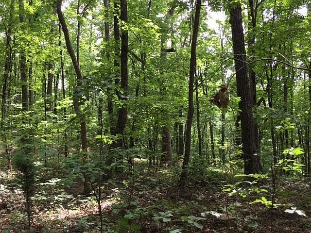 2nd image of 9 Bluffs Rd S #9