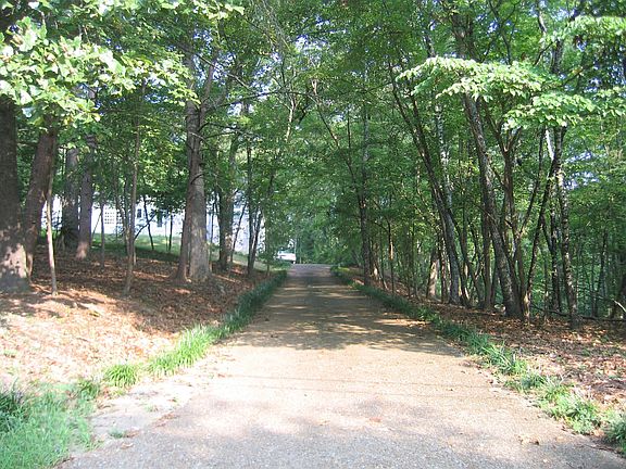 View Up Driveway From Street