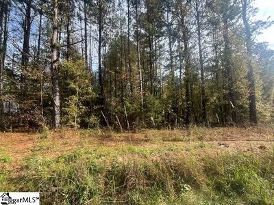 0 Charlottes Rd, Clinton, SC, 29325