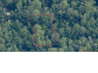 7248 W Citruswood Dr #11, Dunnellon, FL 34433