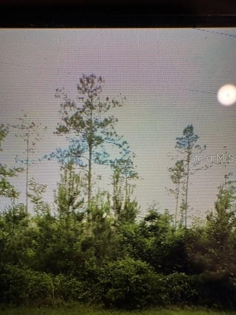 1st image of County Road 305 Lot 10