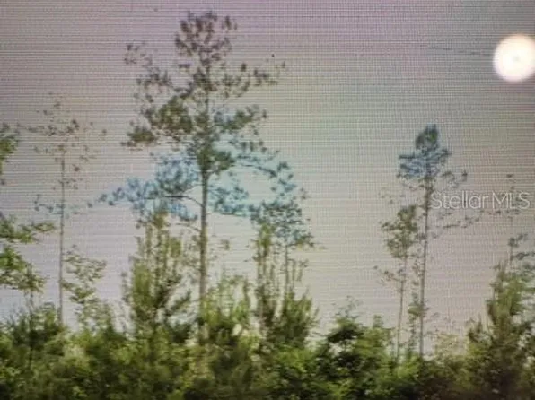 County Road 305 Lot 10, Bunnell, FL 32110