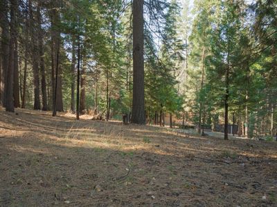 1843 Meadow Dr, Arnold, CA, 95223