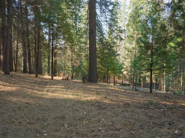 1843 Meadow Dr, Arnold, CA 95223