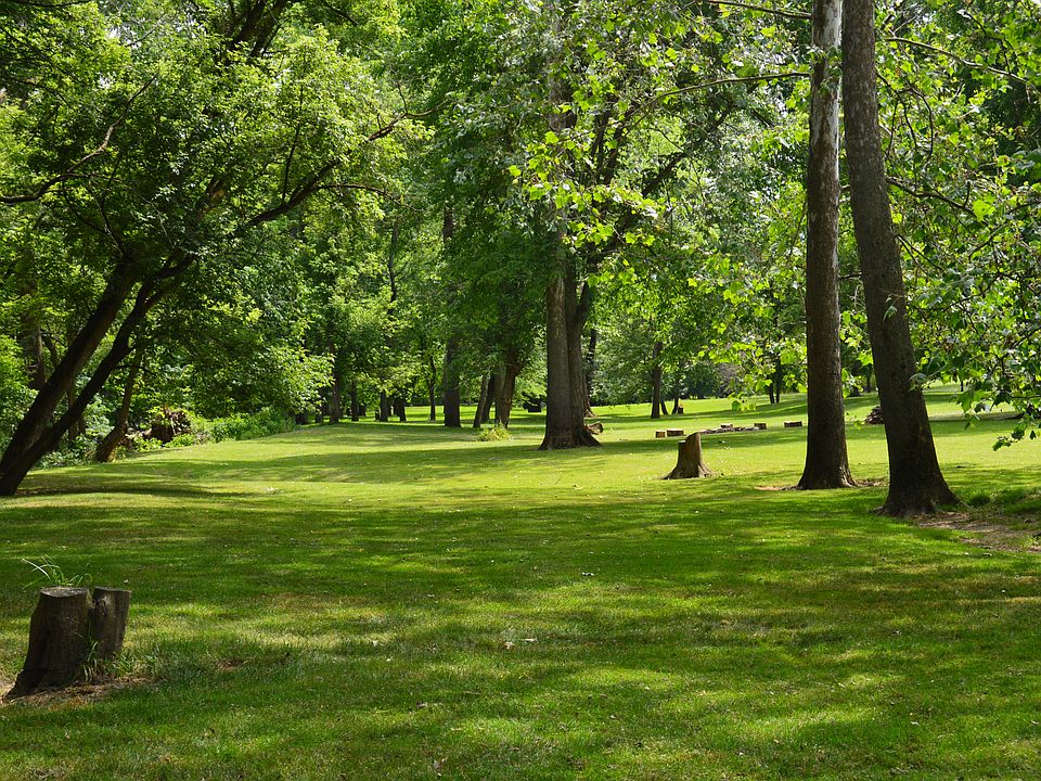 looking down the creek line