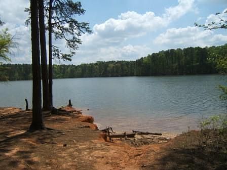 Walking Distance To Fun and Fish