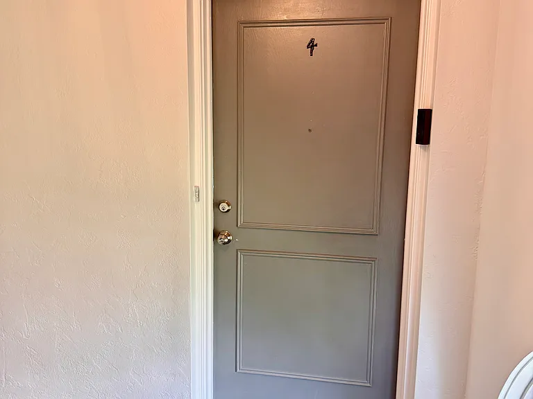 1330 Snell Isle Blvd NE #4 — Photo 61