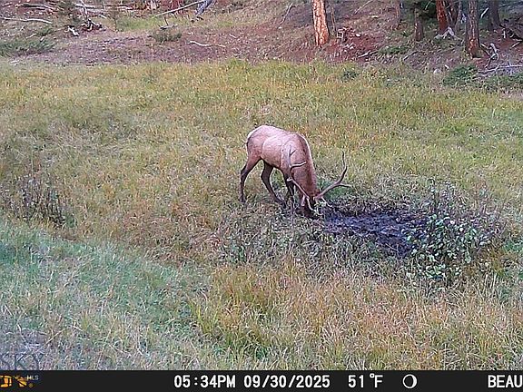 4th image of LOT 7 Ruby Mine Rd
