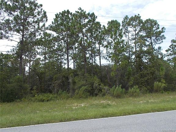 4th image of 4228 W Citrus Springs Blvd