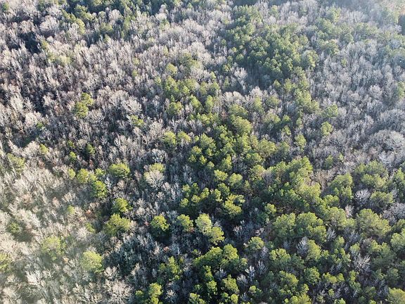 4th image of Bradley 45 Rd