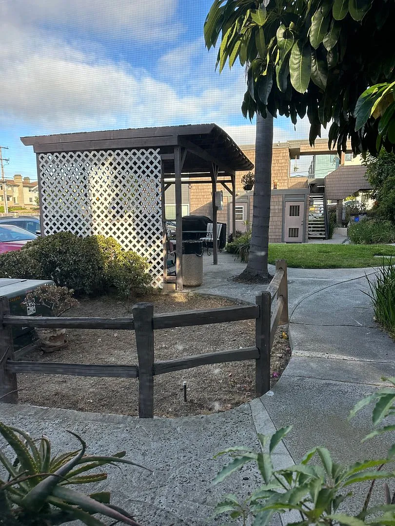 Sea Chase (Acacia Avenue) — Photo 4
