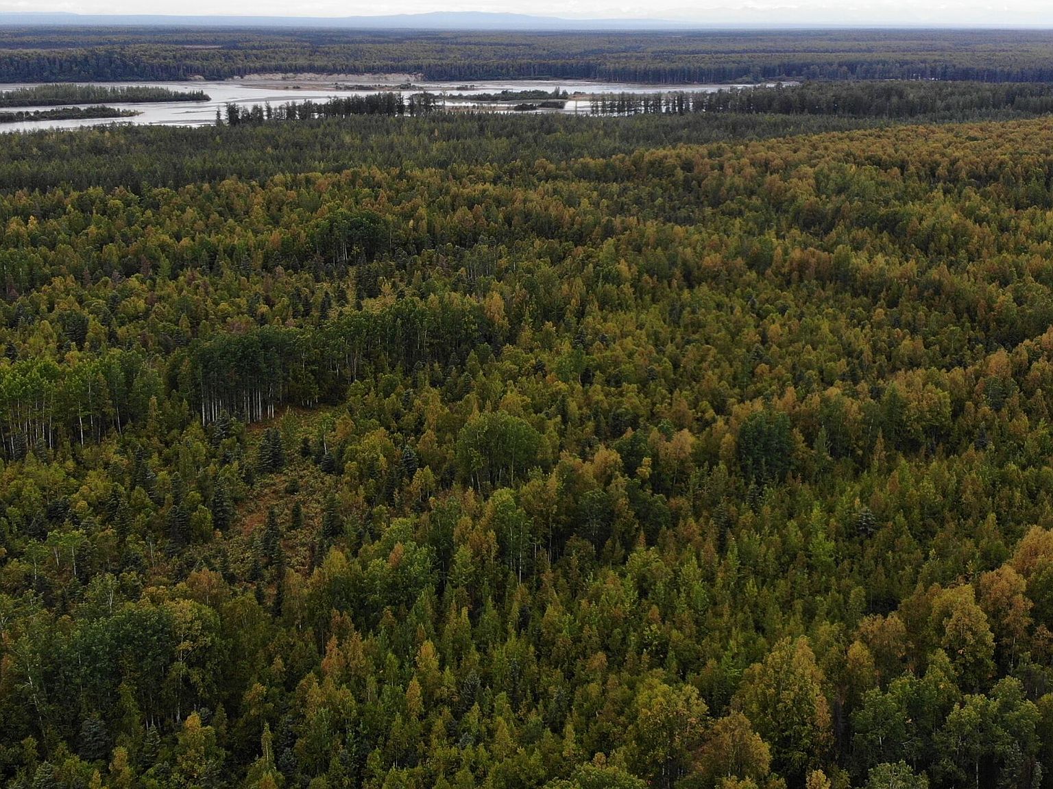 C006 S Sealaska Rd, Talkeetna, AK 99676 Zillow